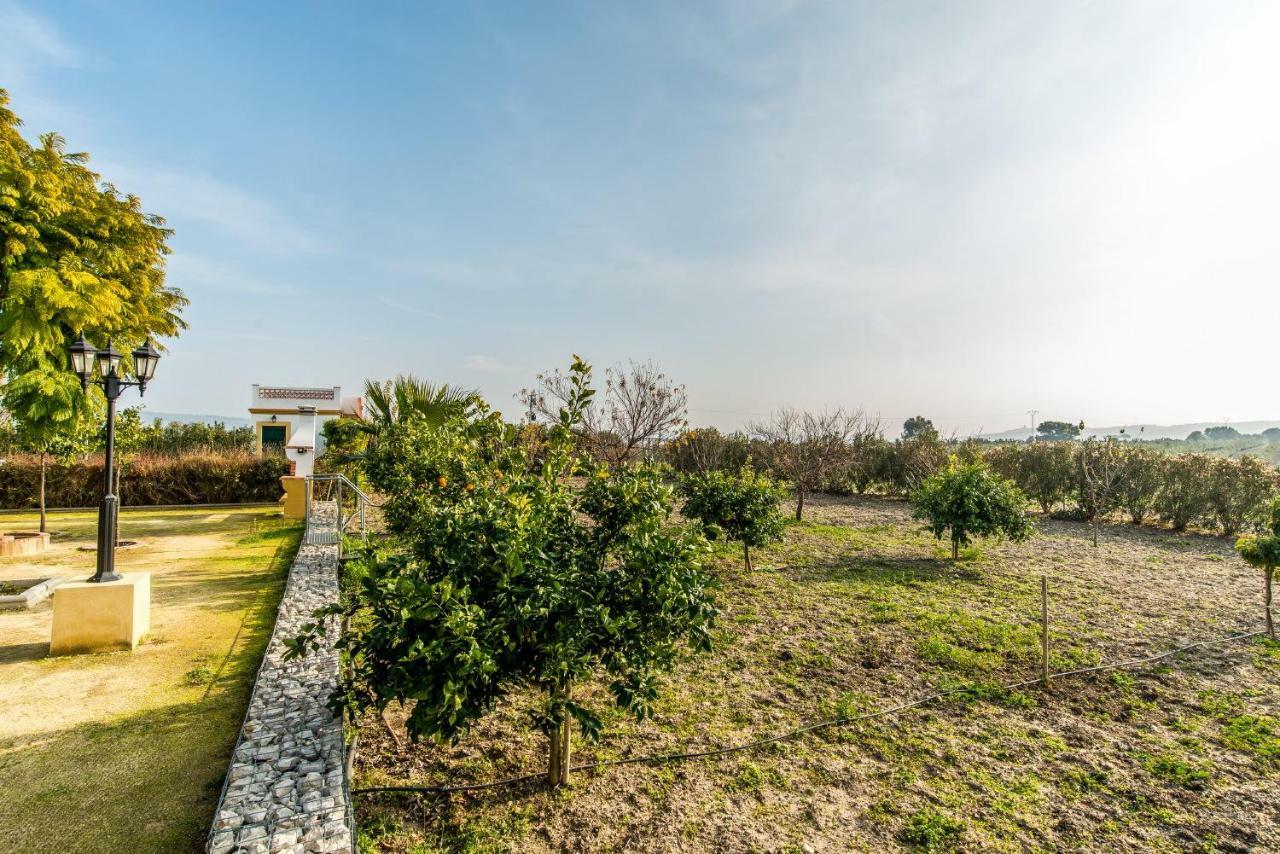 Vivienda Rural Olivar De San Telmo Arcos de la Frontera Exterior photo